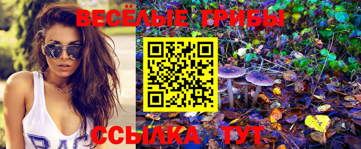 Псилоцибиновые грибы Cubensis  Вход с VPN  Магадан 